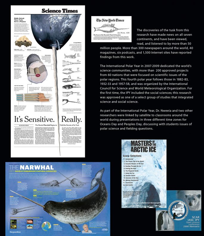 Narwhal-Book-p13